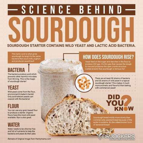 Is Sourdough Bread Healthy? - DrJockers.com Sourdough Bread Benefits, Benefits Of Sourdough Bread, Sourdough Bread Healthy, Benefits Of Sourdough, Gluten Free Tortillas Recipe, Gluten Free Sandwich Bread, Bread Healthy, Gluten Free Tortillas, Gluten Free Sourdough