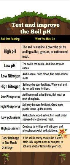 Soil Ph Test, Soil Test, Hydroponics Diy, Vertical Vegetable Garden, Vertical Herb Garden, Hydroponic Growing, Indoor Vegetable Gardening, Soil Testing, Soil Ph