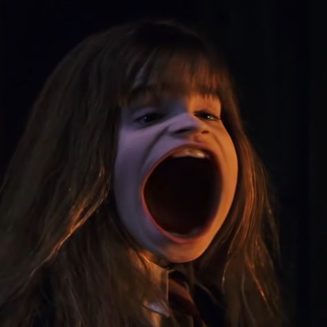 Hermione Granger Funny, Harry Potter Curses, Meme Harry Potter, Harry Potter Funny Pictures, Harry Potter Groups, Harry Potter Background, Harry Potter Disney, Hp Harry Potter, Harry Potter Ron