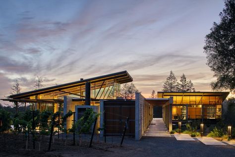 California Wine Road Trip: 5 Wineries With Stunning Architecture Modern Cape Dutch, Wineries Architecture, Wine Storage Ideas, Best Rose Wine, Storefront Windows, Modern Cape, Wine Farm, Sonoma Wineries, California Vineyards