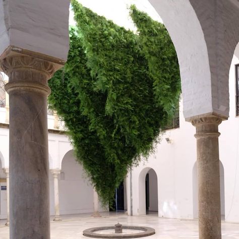 Lily Scout Kwong on Instagram: “Asparagus fern installation by @looseleaf__ at @festivalflora, Córdoba, Spain //” Fern Installation, Asparagus Fern, Plant Design, Loose Leaf, Last Chance, Asparagus, Fern, Design Studio, Around The Worlds