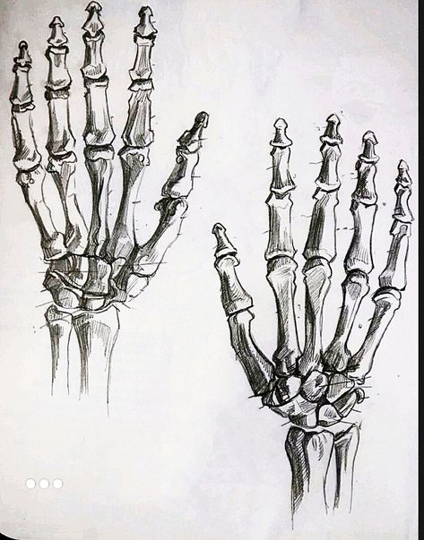 Bones Drawing Easy, Skeletal Hand Drawing, Skeleton Hand Reference, Bone Hand Drawing, Ribs Drawing, Skeleton Hand Drawing, Bones Drawing, Human Skull Drawing, Skeleton Hands Drawing