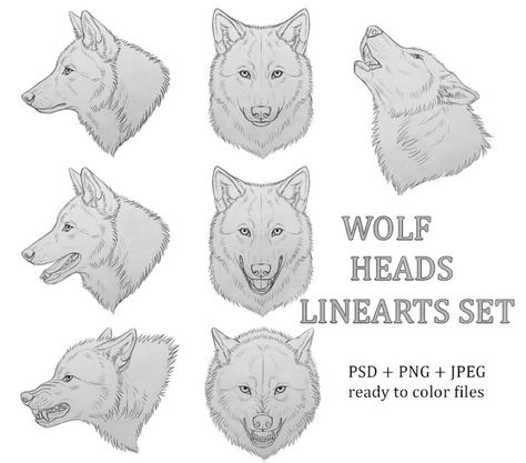 Head Reference Front View, Wolf Head Reference, Head Art Reference, Reference Front View, Wolf Growling, Wolf Head Drawing, Wolf Face Drawing, Werewolf Drawing, Head Reference