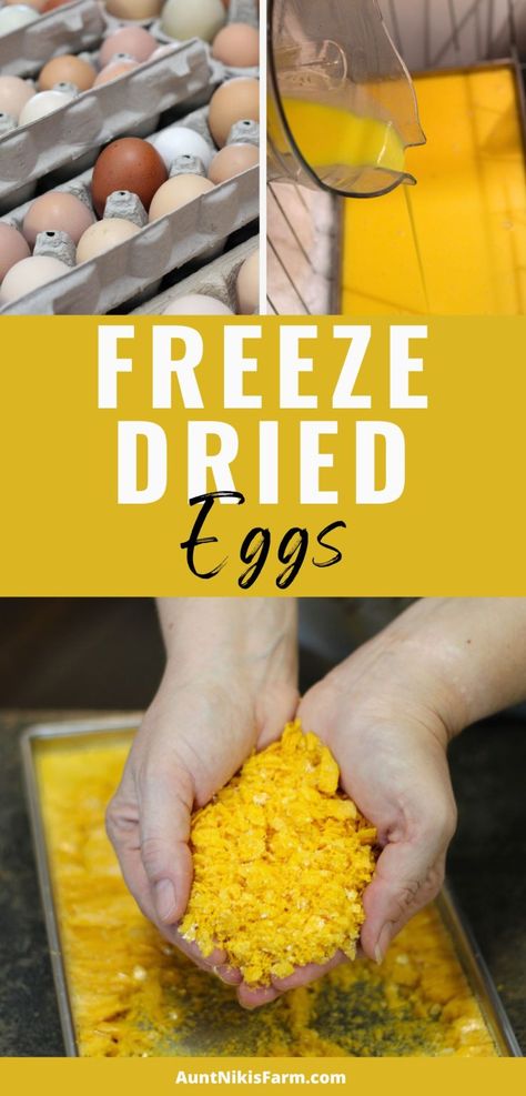 How to Freeze Dry Eggs - Aunt Niki's Farm Dehydrator Recipes Fruit, Harvest Right Freeze Dryer, Freezing Eggs, Gluten Free Egg Free, Canning Lids, Cracked Egg, Morning Smoothie, Freeze Drying Food, Dehydrated Food