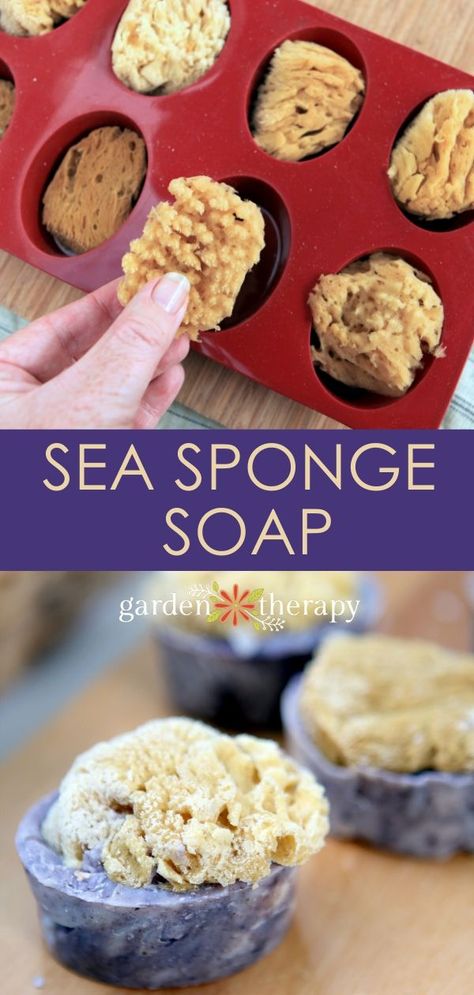 Bring the Ocean into Your Bathtub with Handmade Sea Sponge Soap Bars - Sea sponges are a natural, biodegradable alternative to synthetic sponges and they are gentler on skin #gardentherapy #seasponge #soap #soapmaking #naturalsoap Diy Natural Beauty Recipes, Natural Sea Sponge, Mp Soap, Body Essentials, Natural Skincare Recipes, Handmade Soap Recipes, Garden Therapy, Natural Sponge, Natural Beauty Recipes