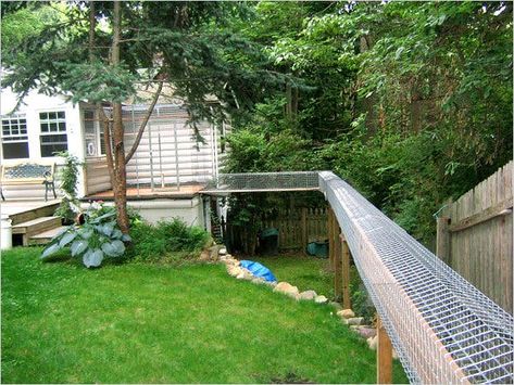 ‘Catio’ Enclosures Protect Cats Outside - The New York Times Cat Walkway, Outdoor Cat Tunnel, Cat Habitat, Outdoor Pet Enclosure, Cat Enclosures, Cat Fence, Cats Outside, Cat Patio, Outdoor Cat Enclosure