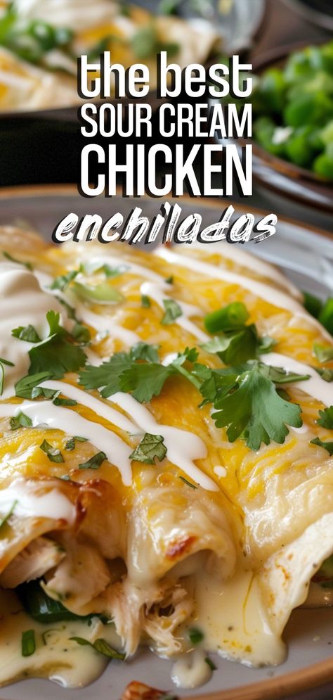 Sour Cream Chicken Enchiladas [50 Minutes] – Chasety Chicken Suiza Enchiladas, Shredded Chicken Thigh Recipes, Easy Sour Cream Chicken Enchiladas, Enchiladas With Sour Cream Sauce, Sourcream Chicken Enchiladas, Sour Cream Chicken Enchilada Recipe, Healthy Sour Cream, Sour Cream Chicken Enchiladas, Enchiladas Easy