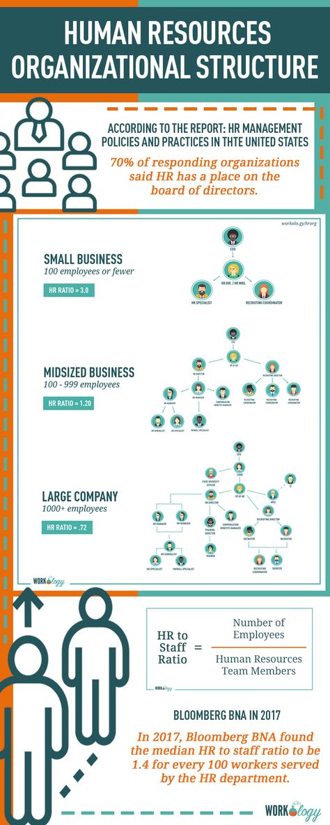 Hr Diagram, Hr Infographic, Human Resources Infographic, Human Resources Career, Hr Job, Organization Structure, Business Administration Degree, Organizational Design, Hr Jobs