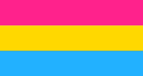 What is pansexuality? 4 pan celebs explain in their own words Pansexual Pride Day, Pan Flag, Stonewall Inn, Nonbinary People, Stonewall Riots, Bi Flag, Pansexual Flag, Gender Binary, Bisexual Flag