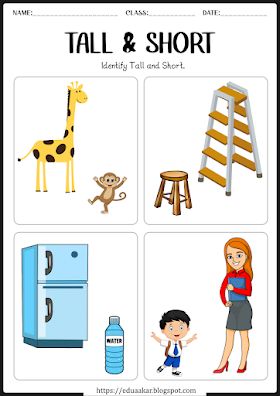 Tall and Short worksheets for kids | Pre-Math Concept Sensory Worksheets, Kindergarten Math Worksheets Addition, Nursery Worksheets, Tall And Short, English Activities For Kids, Hindi Worksheets, Kids Worksheets Preschool, Free Preschool Worksheets, Kindergarten Learning Activities