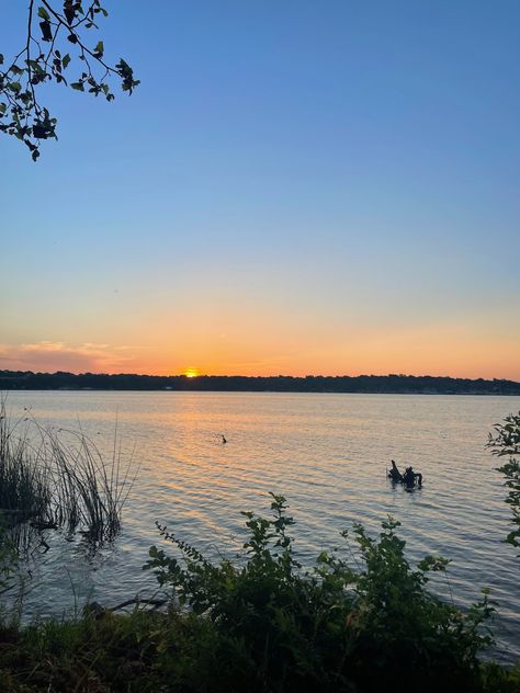 sunrise in dallas, texas Texas Lakes, White Rock, South Texas, Dallas Texas, Dallas, Texas, Lake, Collage, Pins