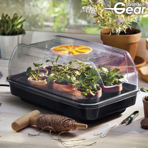 Garden Gear Heated Propagator | Dobies What To Plant In January, Pennisetum Villosum, Seed Growing, Seed Starter Kit, Fruit Bushes, Seedling Pots, Paper Pot, Gardening Gear, Seed Starter