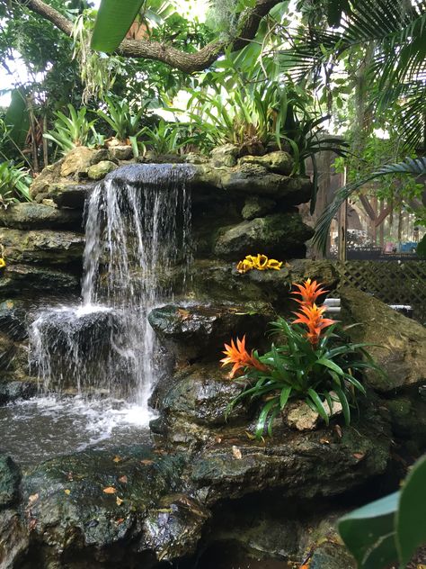 Landscape Garden Ideas, Garden Landscaping Ideas, Fish Pond Gardens, Tropical Garden Design, Garden Waterfall, Pond Landscaping, Backyard Water Feature, Waterfalls Backyard, Garden Design Layout