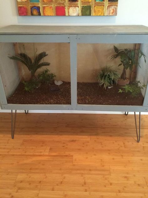 perfect for little button quail Quail Enclosure, Quail Pen, Quail House, Button Quail, Quail Coop, Raising Quail, Enclosure Ideas, Portable Chicken Coop, Chicken Garden