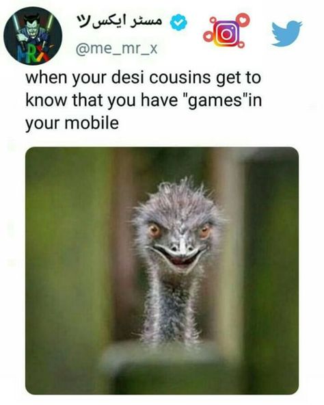 #me_mr_x Family Event, Funny Pins, Memes Funny, Animal Memes, Funny Posts, Dankest Memes, I Laughed, Fortnite, Funny Animals