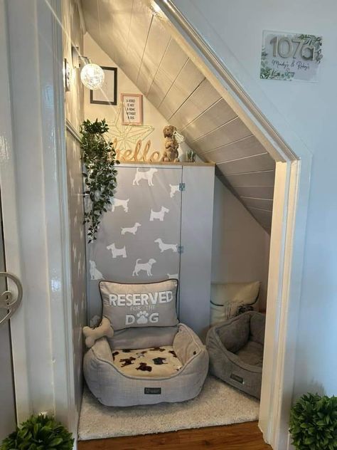 Big Dog Areas In House, Under Stairs Dog House Ideas, Under Stairs Dog House Diy, Dog Bed Area Ideas, Understair Dog Den, Dog Corner Ideas Bedroom, Dog Bedroom Ideas Small Spaces, Dog Room Ideas Under Stairs, Dog Set Up