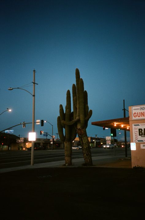 Desert Road Trip Aesthetic, Southwestern Gothic, Western Core, Ventura Highway, Nighttime Aesthetic, Desert Backyard, Arizona Aesthetic, Last Night On Earth, Americana Aesthetic