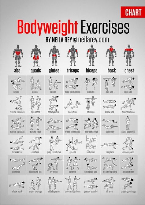 Dumbbell Workout Routine, Full Body Bodyweight Workout, Body Weight Workout, Body Weight Exercises, Weight Workouts, Pilates Workout Routine, Core Strengthening Exercises, Dynamic Stretching, Weight Exercises