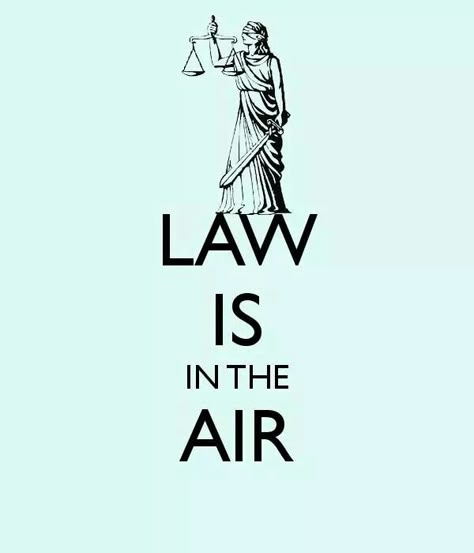 Law School Humor, In Laws Humor, Dream Face, Lawyer Quotes, Legal Humor, Lawyer Humor, Lawyer Jokes, Law School Life, Law School Inspiration