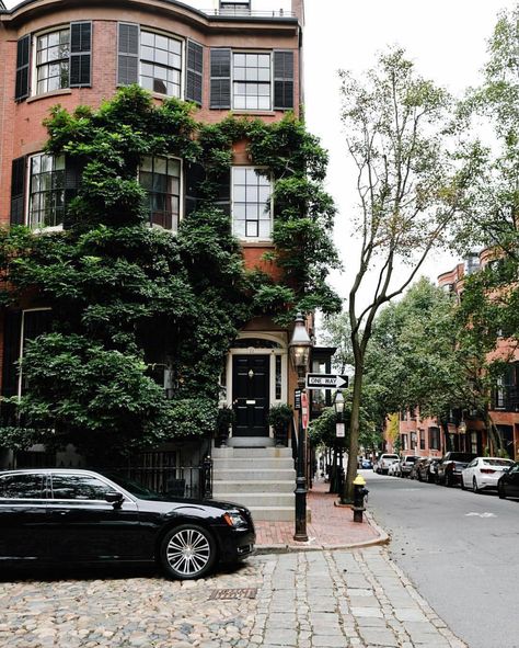 Vines straight out of a fairytale 🌿💚. (📷 @kimmyn_) Kim Nguyen, Boston House, Boston Apartment, Black Houses, Waiting Patiently, Beautiful Streets, Character Home, Beacon Hill, House Doors