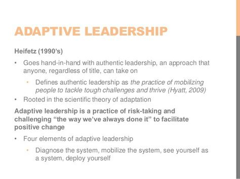 Adaptive Leadership, Authentic Leadership, Business Analyst, Take Risks, Leadership