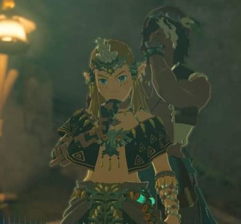 Link Charged Armor, Link Botw, Shigeru Miyamoto, Zelda Botw, Youre Crazy, Link Zelda, Japanese Games, Breath Of The Wild, The Legend Of Zelda