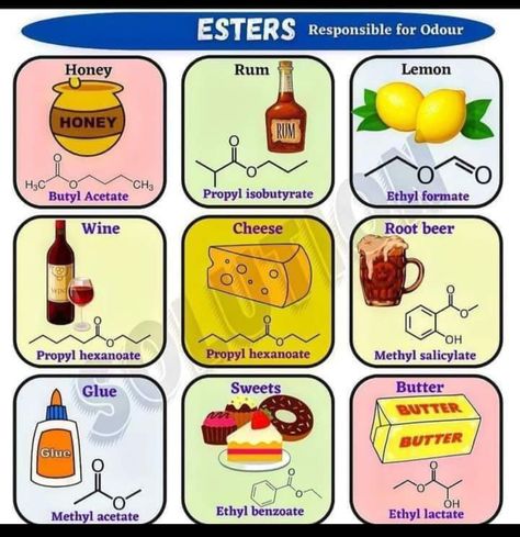 Food Chemistry, Chemistry Projects, Chemistry Classroom, History Facts Interesting, Coffee Corner, Chemical Reactions, Wine Cheese, Food Quality, Preserving Food