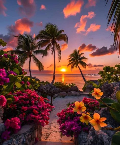 Aloha Background, Hawaiian Scenery, Hawaii Landscape, Sunset Island, Dream Vacations Destinations, Pretty Landscapes, Foto Poses, Beautiful Landscape Wallpaper, Beautiful Flowers Pictures