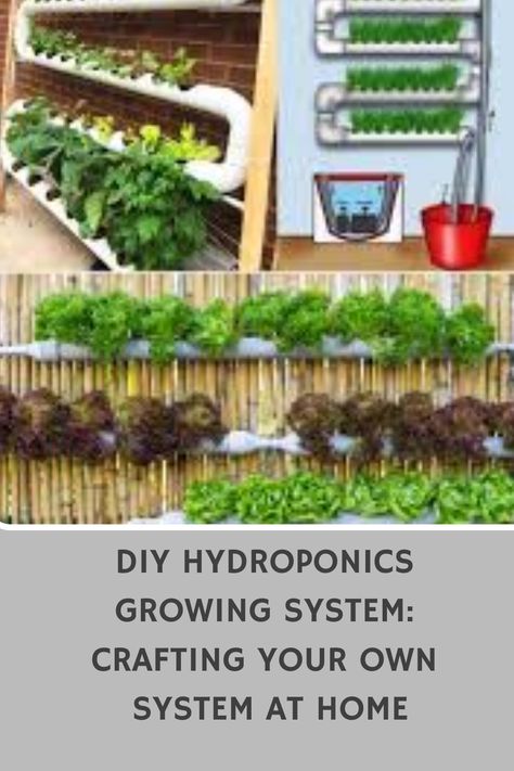 Discover how to create your own DIY hydroponics growing system at home with this easy-to-follow guide. Grow your favorite plants indoors without soil using simple materials and techniques. Enhance your gardening skills and enjoy fresh produce year-round right in the comfort of your own home. Start your hydroponic journey today! Homemade Hydroponics, Plants Without Soil, Hydroponic Grow Box, Hydroponics Setup, Hydroponic Gardening Diy, Hydroponic Herb Garden, Indoor Hydroponic Gardening, Diy Hydroponics, Hydroponic Gardening System