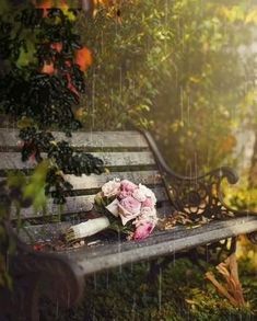 Nature Photography Trees, Winter Wedding Flowers, Trendy Flowers, Autumn Scenery, Bouquet Of Flowers, Winter Aesthetic, Lombok, Garden Bench, The Grass