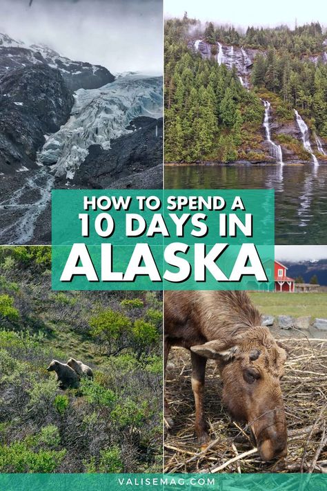 Alaska Travel Summer, Alaska Family Vacation, Alaska Itinerary, Alaska Travel Cruise, Alaska Day, Alaska Travel Guide, Alaska Summer, Alaska Road Trip, Alaska National Parks