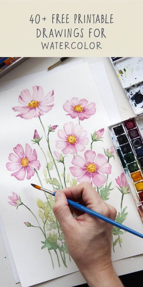 Hand painting pink cosmos flowers with a watercolor palette and brush. Watercolor Outlines Printable, Drawings For Watercolor, Free Watercolor Printable, Printable Drawings, Free Printable Stencils, Watercolor Templates, Animals Abstract, Sunflower Stencil, Printable Stencils