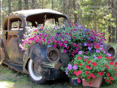 Old car - new flowers Truck With Flowers, Car Yard, Car Garden, Pick Up Truck, Flower Truck, Old Truck, Garden Junk, Farm Trucks, Vintage Trucks