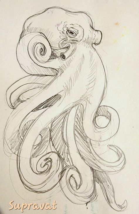 Art Sketches Pencil Animals, Aesthetic Octopus Drawing, Octopus Drawings Simple, Octopus Drawing Pencil, Sketches Of Octopus, Drawing Ideas Octopus, Octopus Sketch Drawings, Octopus Drawing Reference, Sketches Of Sea Animals