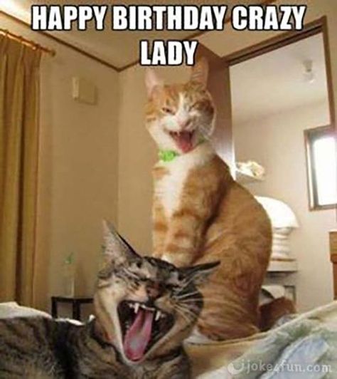 Cute Cat Memes & Funny Kitty Pics Happy Funny Birthday, Happy Birthday Crazy Lady, Happy Birthday Crazy, Cat Birthday Memes, Funny Birthday Pictures, Happy Birthday Humorous, Birthday Images Funny, Funny Happy Birthday Images, Meme Chat