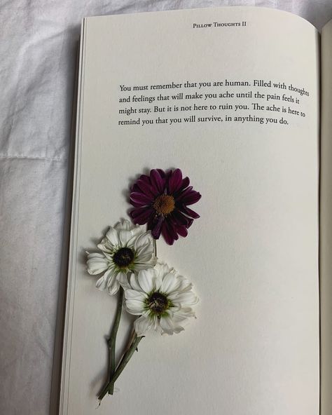 Pillow Thoughts Book, Pillow Thoughts Quotes, Pillow Thoughts Ii, Courtney Peppernell, Pillow Thoughts, Calm Quotes, Life Words, Thoughts And Feelings, Love Poems