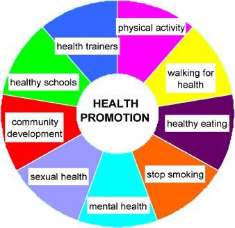 Have A Look At Health Promotion #health #Promotion Public Health Career, School Health, Architecture Quotes, Slow Metabolism, Endocrine System, Funny Tattoos, Celebrity Travel, Health Promotion, Health Education