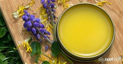 Dandelion Lotion, Dandelion Salve, Arnica Salve, Healing Salve Recipe, Dandelion Oil, Homemade Lotion Bars, Easy Soap Recipes, Homemade Body Care, Chapped Hands