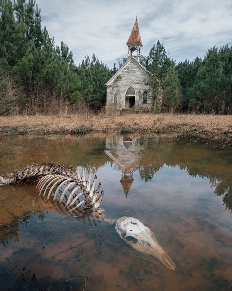 Southern Gothic Aesthetic, Vulture Culture, American Gothic, 다크 판타지, Southern Gothic, Animal Bones, Gothic Aesthetic, Abandoned Buildings, Nature Aesthetic