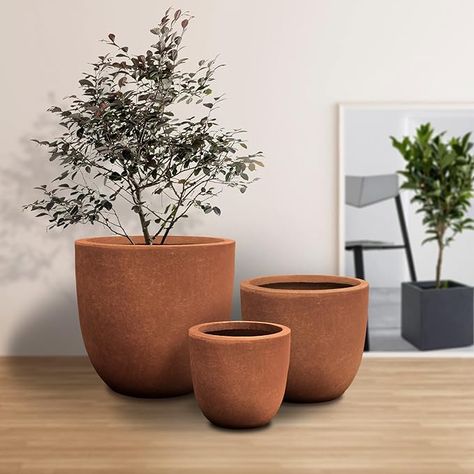 Unveil a modern design boasting graceful curves and an authentic surface finish! Enhance your space's allure with this contemporary masterpiece adorned with visible pores for an enchanting touch of charm. Round Planters, Avocado Plant, Large Plant Pots, Barrel Planter, Garden Urns, Indoor Outdoor Planter, Tall Planters, Concrete Pots, Planter Pots Outdoor