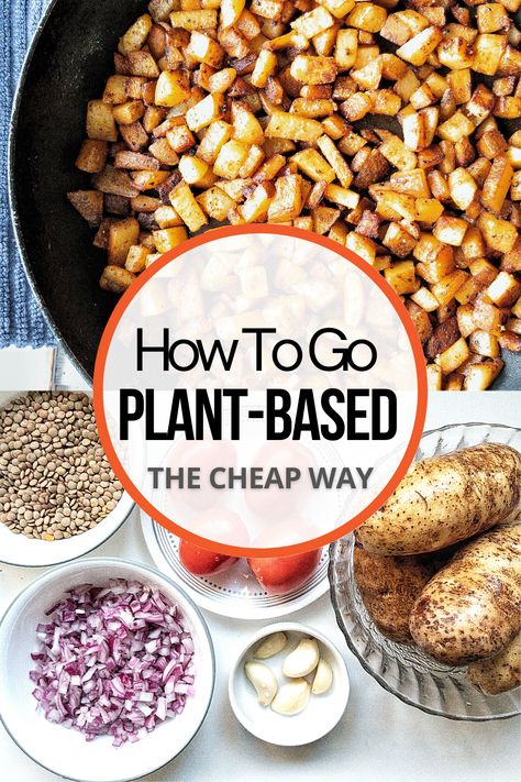 Plant Based And Vegan Recipes, Plant Based Diet For Beginners Recipes, Cheap Plant Based Meals Budget, Plant Based Recipes On A Budget, Plant Based Diet On A Budget, How To Eat Plant Based Diet, How To Go Plant Based, Plant Based Easy Recipes, Plant Based Whole Food Recipes Simple