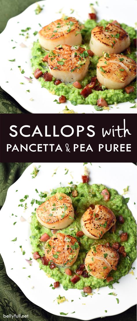 Pan-seared scallops sit on top of rich pea puree, topped with crispy pancetta and Gremolata. A super easy dish, but tastes amazing and looks so elegant! Scallop And Pea Puree, Scallop Puree Recipe, Scallop Pea Puree, Scallops And Peas, Scallops Pea Puree, Scallops And Pea Puree, Scallops With Pea Puree, Scallops With Pancetta, Pea Puree Recipe Dishes