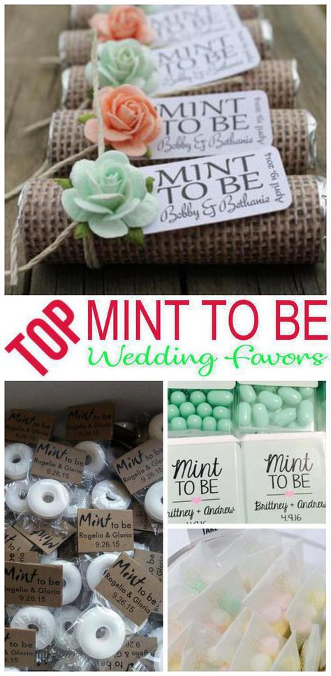 Wedding Favors! Mint To Be wedding favor ideas that your guests will love! Find ideas from DIY, cheap, creative, unique, inexpensive, elegant, classy, useful and more. Pick a wedding shower favor idea for guests that they will be happy to take home. Amazing favor ideas for any theme wedding you want to give your guests Mint To Be favors to take home. Find the best Mint To Be wedding favor ideas now! Inexpensive Bridal Shower Gifts, Bridal Shower Favors Cheap, Mint Wedding Favors, Fun Wedding Decor, Inexpensive Wedding Favors, Mint To Be, Best Wedding Favors, Bridal Shower Diy, Wedding Shower Favors