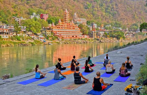 8 Reasons why you need to undergo yoga teacher training in India 1 Meditation Teacher Training, Become A Yoga Instructor, Rishikesh Yoga, 200 Hour Yoga Teacher Training, Training Certificate, Types Of Meditation, Learn Yoga, Yoga Alliance, Teaching Yoga