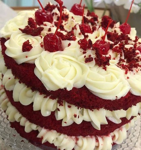 Receita de Bolo Red Velvet de natal rápido e fácilPor: Receitas da MamaTempo de preparo: 20 minutosTempo de cozimento: 40 minutos     Confira os ingredientes e como fazer Bolo Red Velvet de natal. Veja mais receitas de Natal.Ingredientes para Bolo Red Velvet de natal100 ml de leite aquecido3 colheres de sopa de manteiga2 colheres de sopa de cacau em pó½ colher de corante vermelho em gel4 ovos  1 e ¼ de xícara de chá de açúcar  1 colher (chá) de vinagre branco  1 xícara de farinha de trigo peneir Red Velvet Aesthetic Cake, Bolos Aesthetic, Bolo Red Velvet Receita, Coconut Smoothie Recipe, Bolo Red Velvet, Slice Cake, Healthy Recipes Easy Snacks, Spice Cupcakes, Cinnamon Cream Cheese Frosting