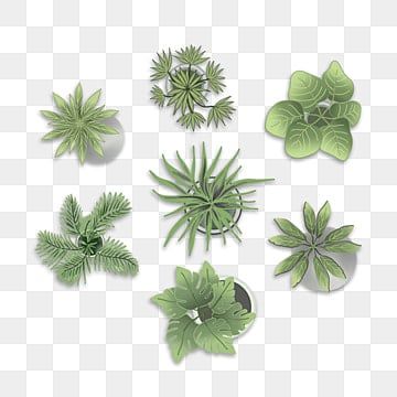 plant clipart,top view plant,plantree,landscape,tree,topview,line,layout,tree clipart,line clipart,landscape clipart,top clipart Form Generation, Top View Furniture, Furniture Top View, Vector Illustration People, Photoshop Landscape, Plant Clipart, Trees Top View, Interior Design Portfolio Layout, Landscape Clipart