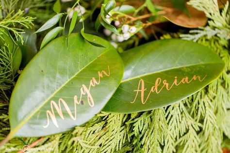 Fox Hollow Farm Wedding Photographer | Megan   Adrian Married - Magnolia Photography Magnolia Photography, Bride Suit, Live Christmas Trees, Mother Son Dance, Christmas Weddings, Traditional Dance, Perfect Couple, Farm Wedding, Christmas Wedding