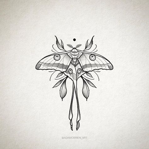 Moth Tattoo Luna, Lunar Moth Arm Tattoo, Lunar Moth Line Art, Moth Tattoo Stomach Woman, Lunar Moth Design, Moth Tattoo With Leaves, Moth And Leaves Tattoo, Moth Evil Eye Tattoo, Luna Moth Drawing Tattoo