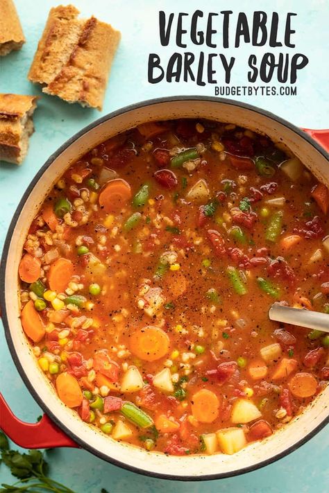 Loaded with colorful vegetables and filling pearled barley, this Vegetable Barley Soup is a healthy, freezer-friendly staple recipe for winter! BudgetBytes.com #soup #vegan Pearled Barley, Barley Recipes, Vegan Budget, Barley Soup Recipe, Vegetable Barley Soup, Barley Recipe, Budget Bytes, Cabbage Soup Diet, Soup Vegan