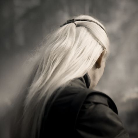 Aemond Targaryen Aesthetics, House Of The Dragon Aesthetic, Targaryen Hair, Candy Witch, Dragon Aesthetic, Aesthetic Game, Ewan Mitchell, Dragon Icon, Aemond Targaryen